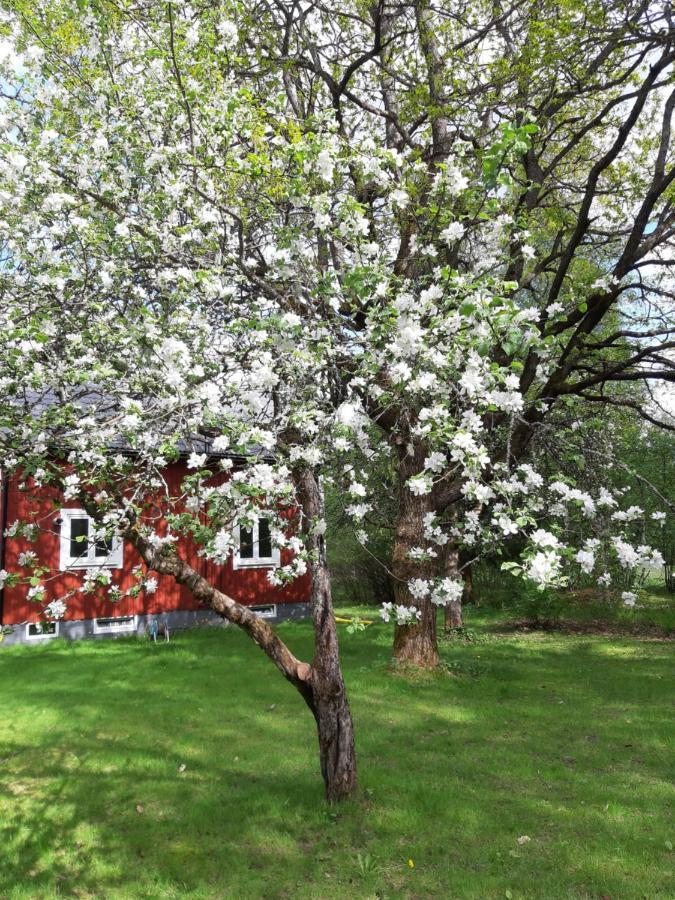 Charming Holiday Home Villa Berika Ekshärad エクステリア 写真